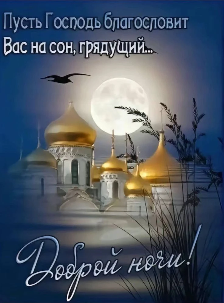 Сладких снов  вам,  дорогие  читатели!