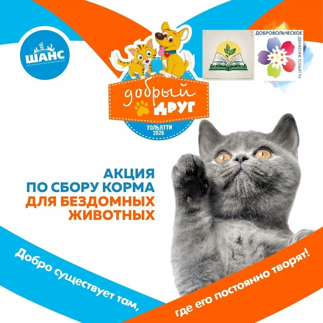 Городская акция «Добрый друг»