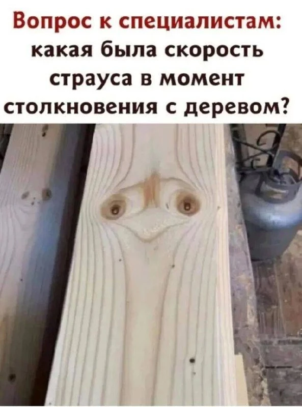 😃Картинки для настроения|👉 Подписаться
