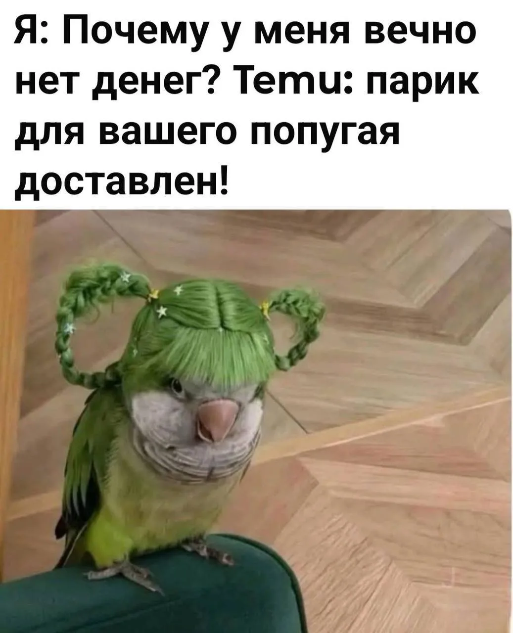 Подпишись на юмор 😂