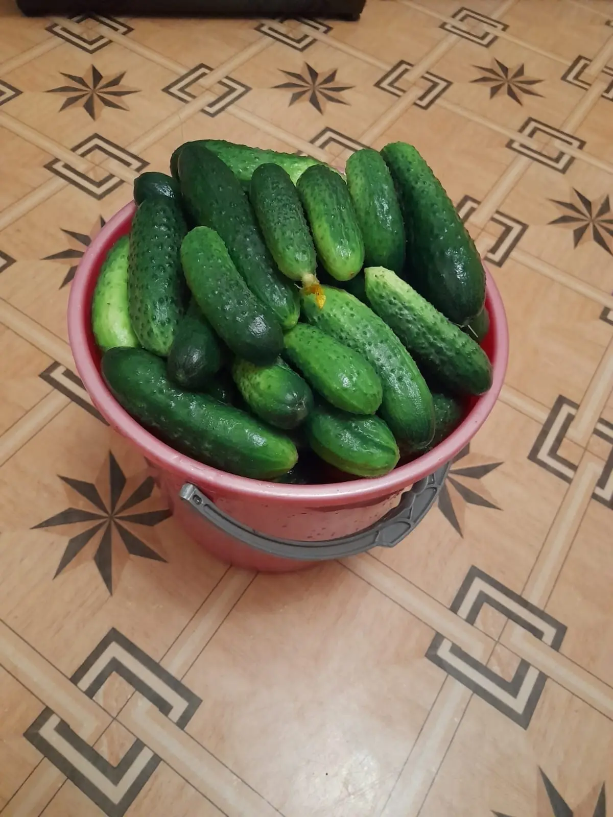 Продам огурчики, 8л.ведро - 500р. Тел. 8 9175109309