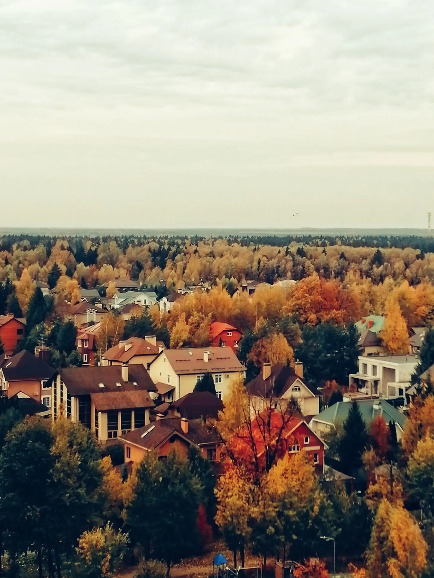 📷 Наталья Меняйлова.