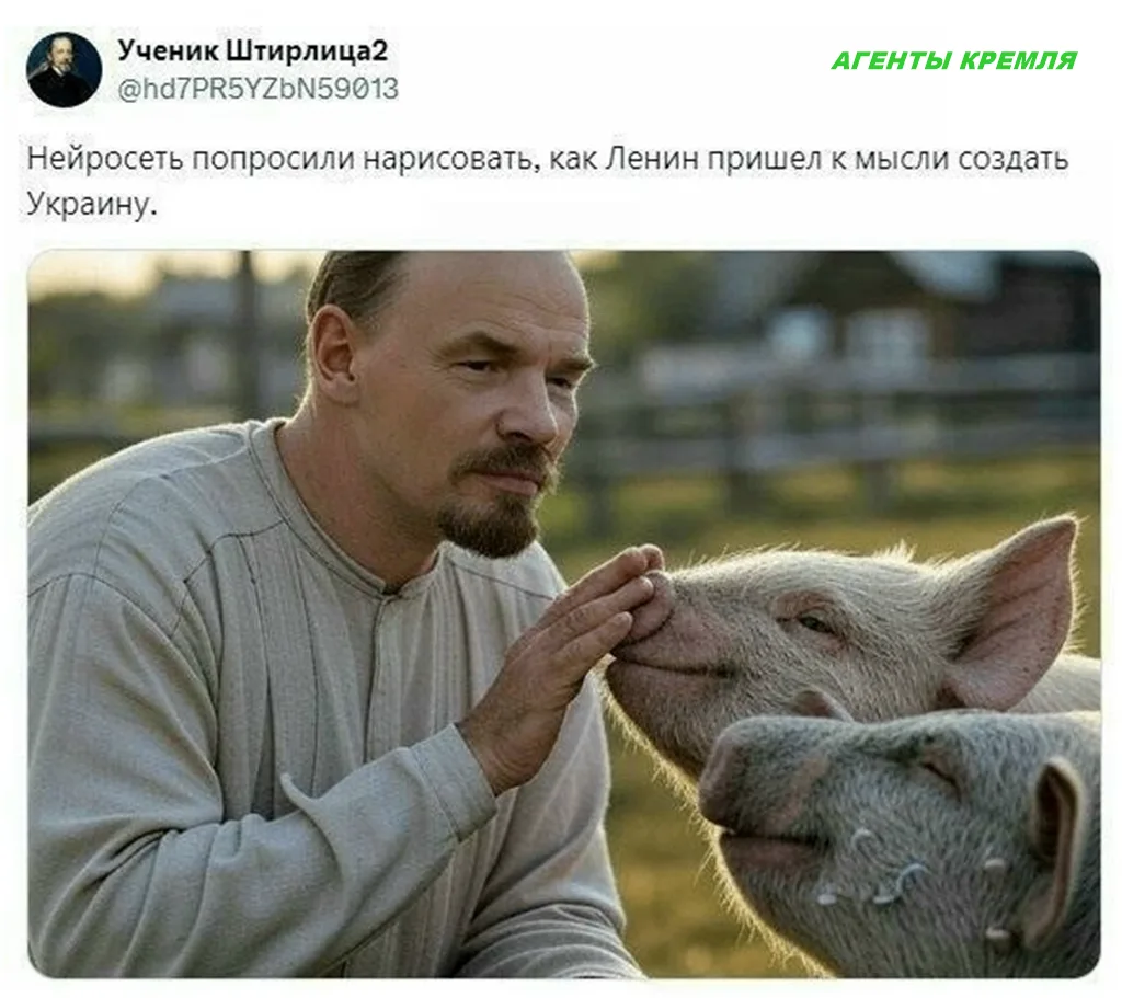 Хрюшки сразу стали довольные, когда им выделили под их собственный загон Русские террит...