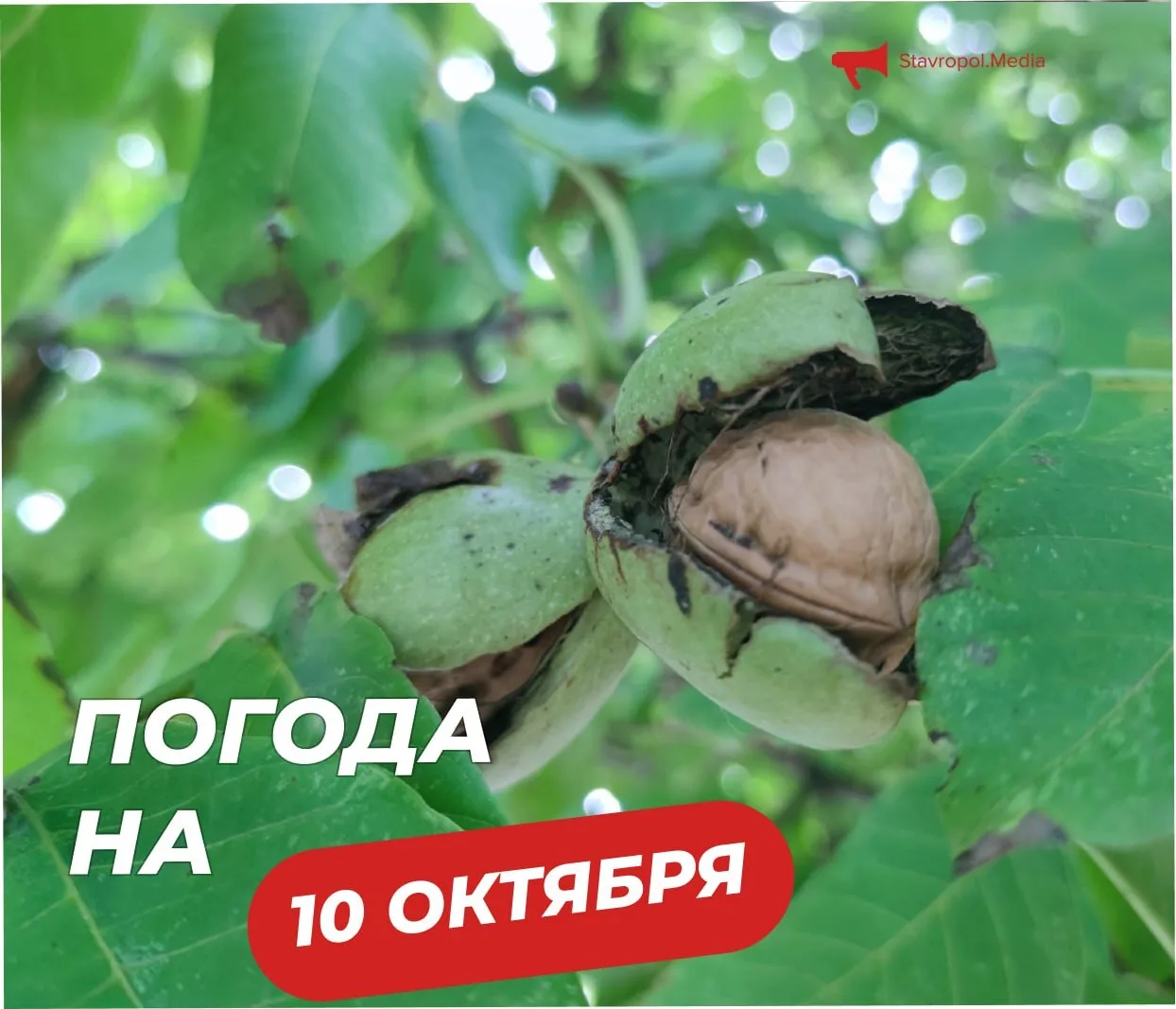 ПОГОДА на сегодня в Ставрополе:
