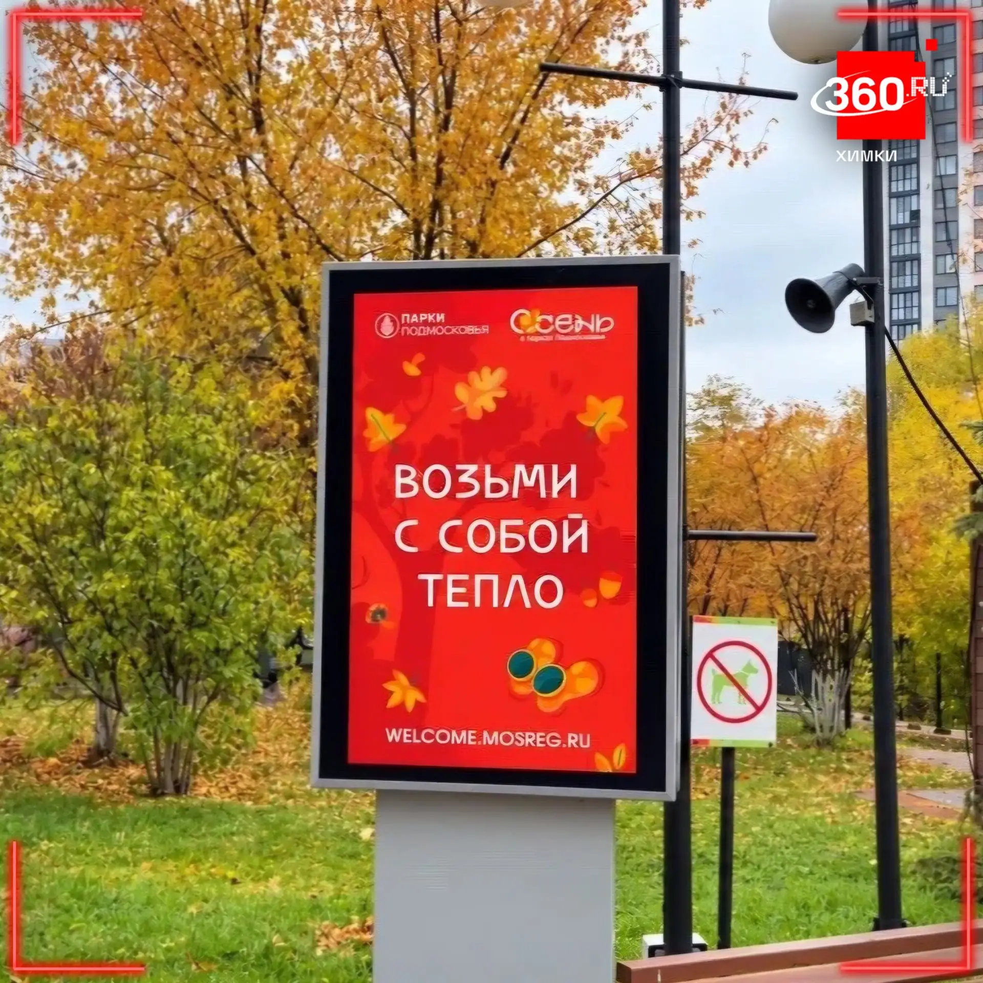 В парках скоро появятся работающие видеоэкраны с афишами городских событий 📺