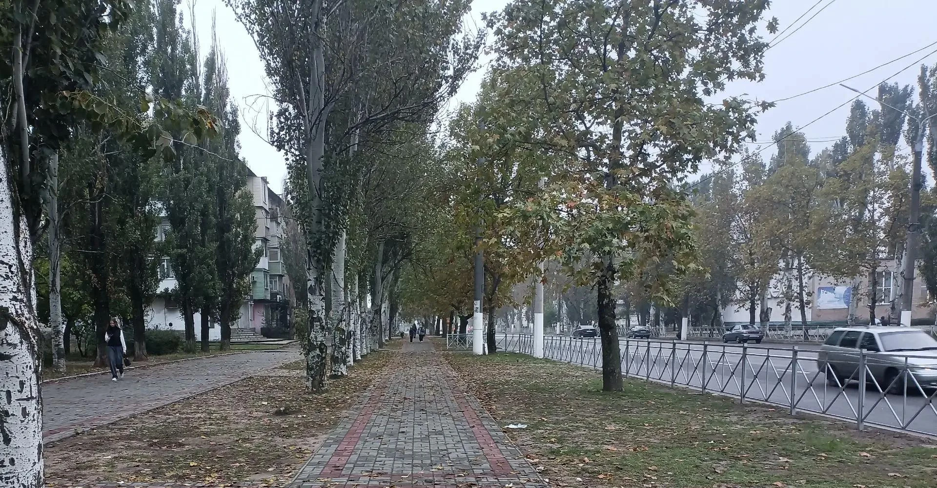 Доброе утро 🍁