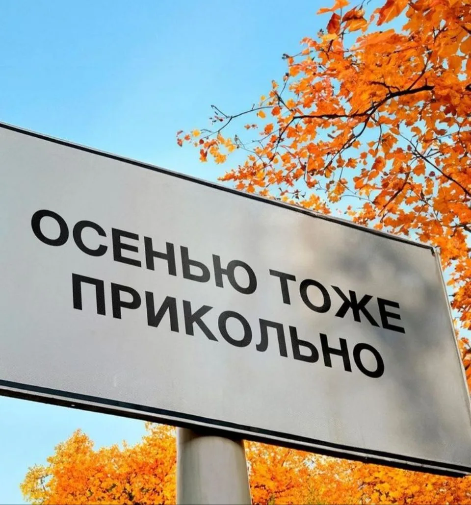 Доброе утро, Волжский МЭИ! 🍂