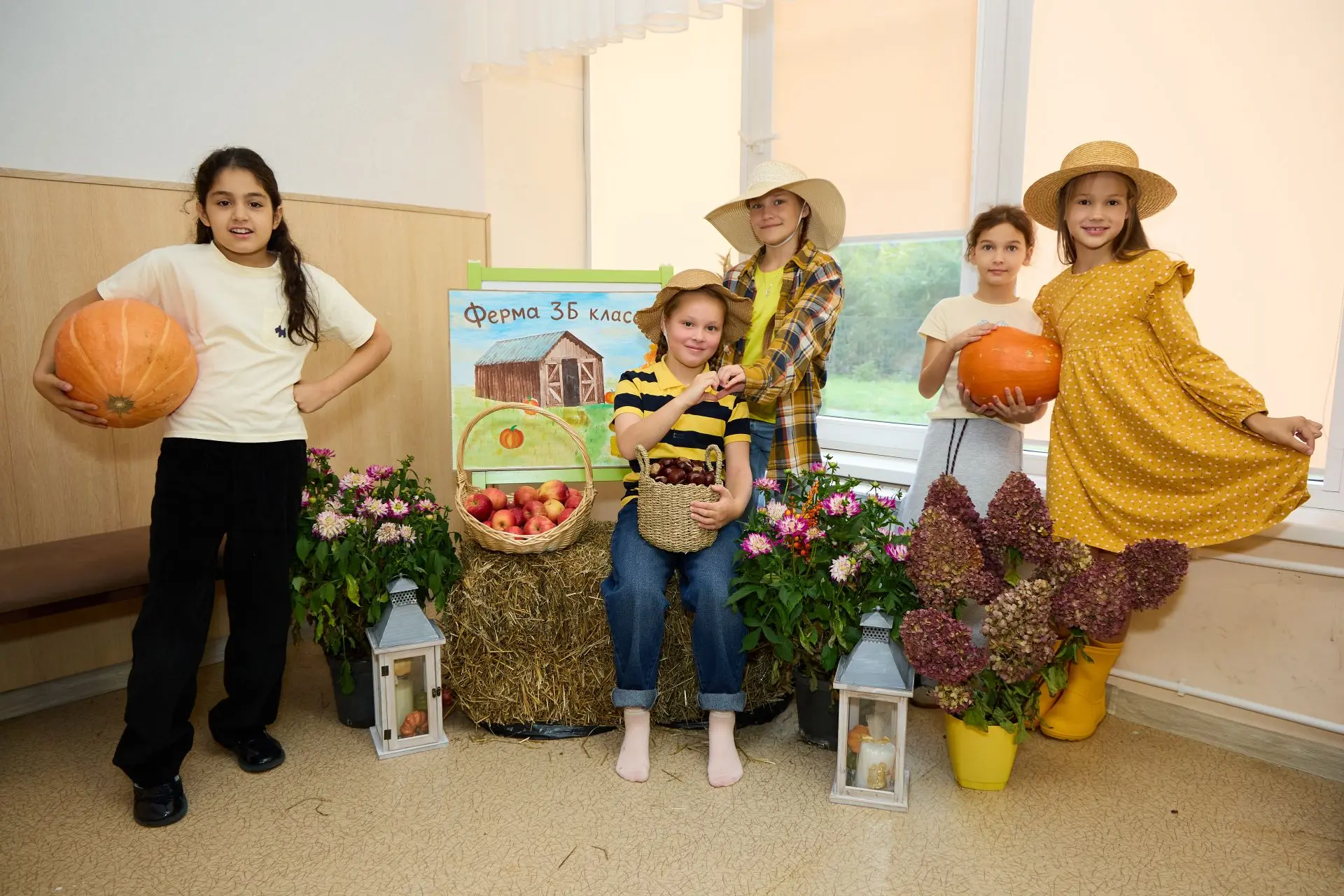 ☀️В День Солнца с солнечным настроением - на ферму!🌻🐑