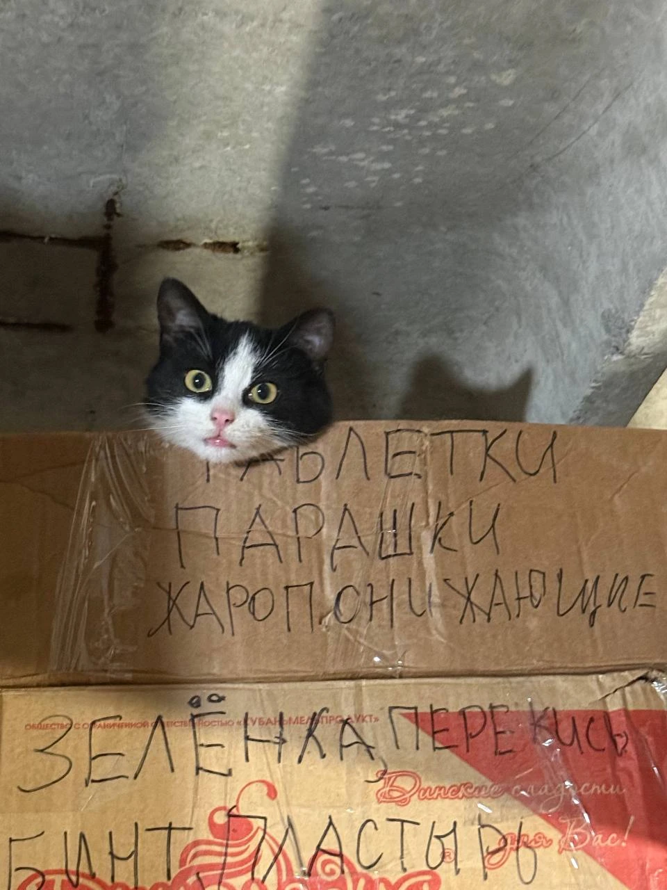Доброго пятничного утра, дорогие подписчики!