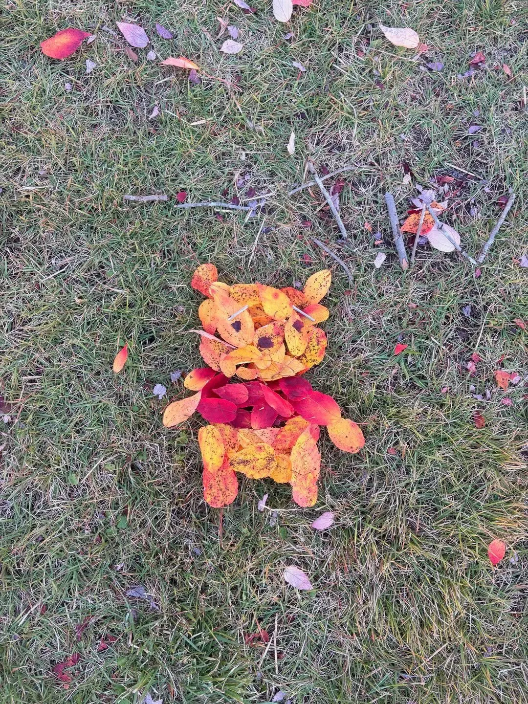 Хорошей субботы 🐻🧡🍁