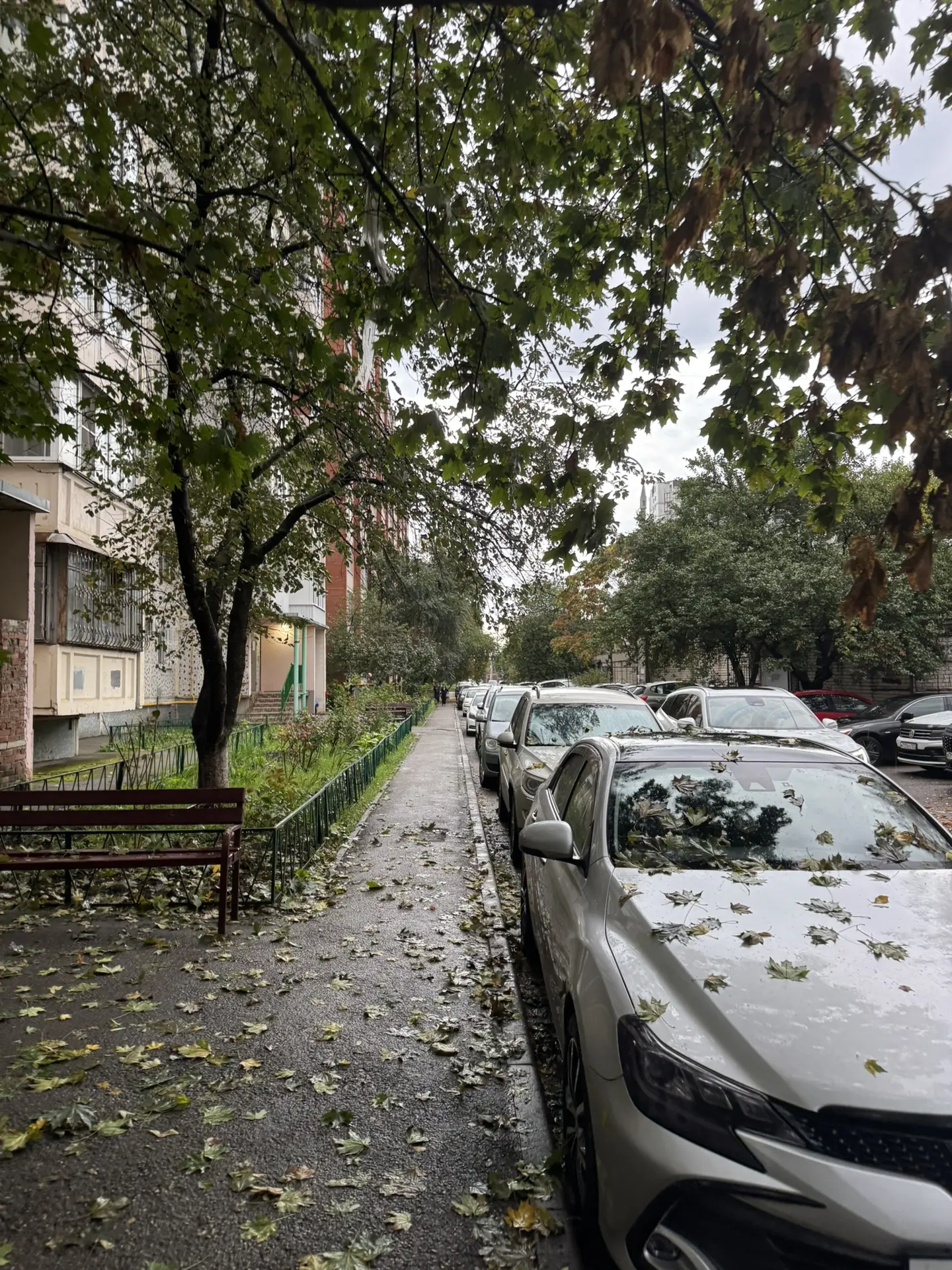 Доброе утро!