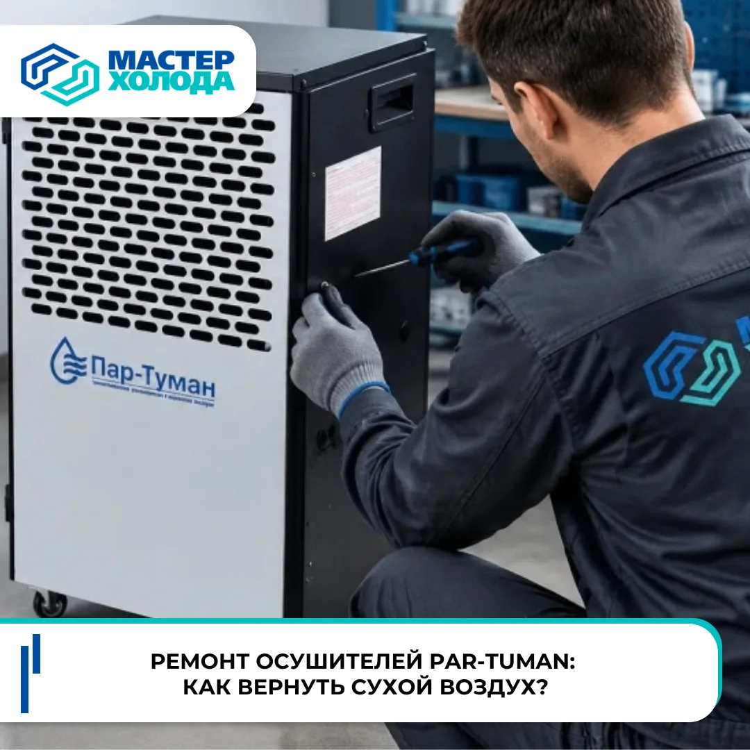 🏭 Ремонт осушителей Par-Tuman: как вернуть сухой воздух?