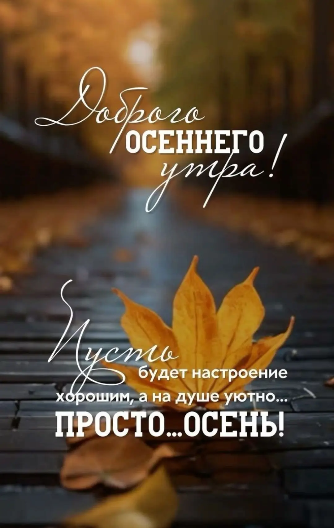 Доброе утро, дорогие подписчики! ☀️ Пусть 13 октября будет днём, когда всё идёт как по ...