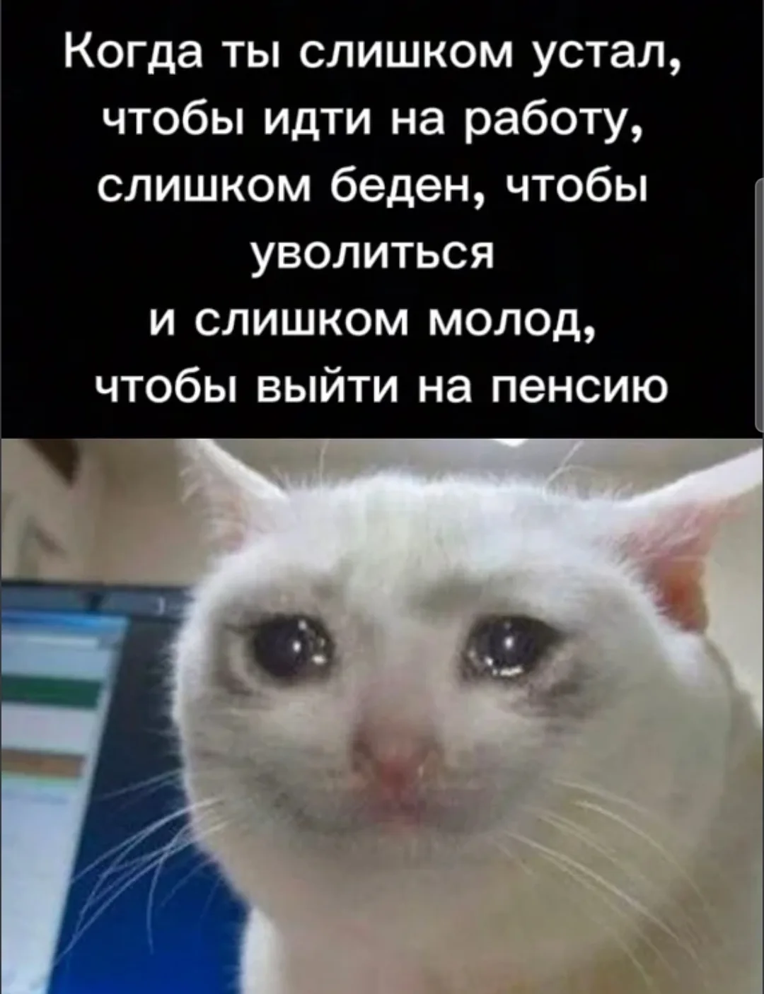 💼 О выборе пути, страхах старта и главном — о вашем доверии. Часть 1.