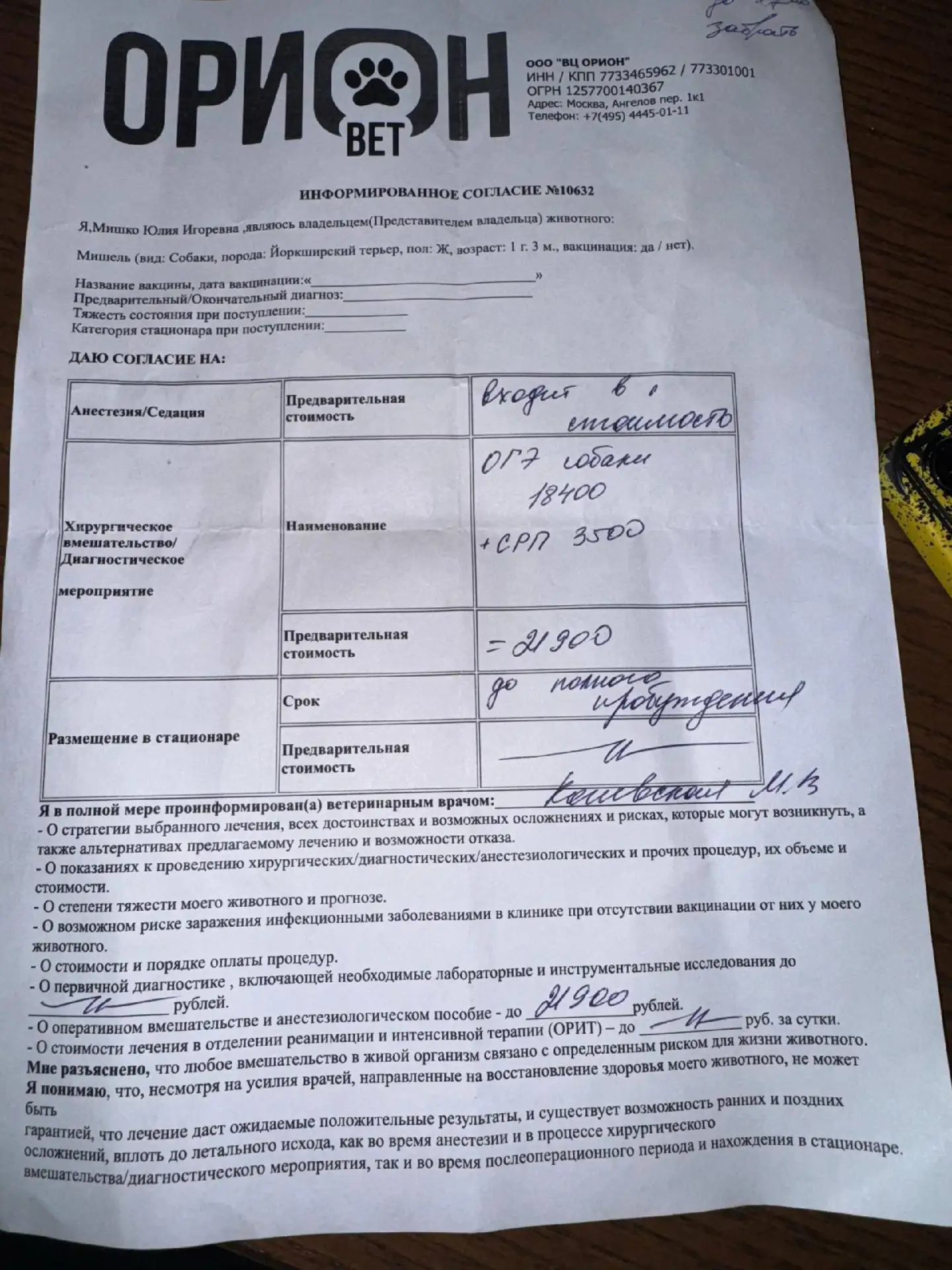 «Как здоровая собака может умереть от стерилизации?»