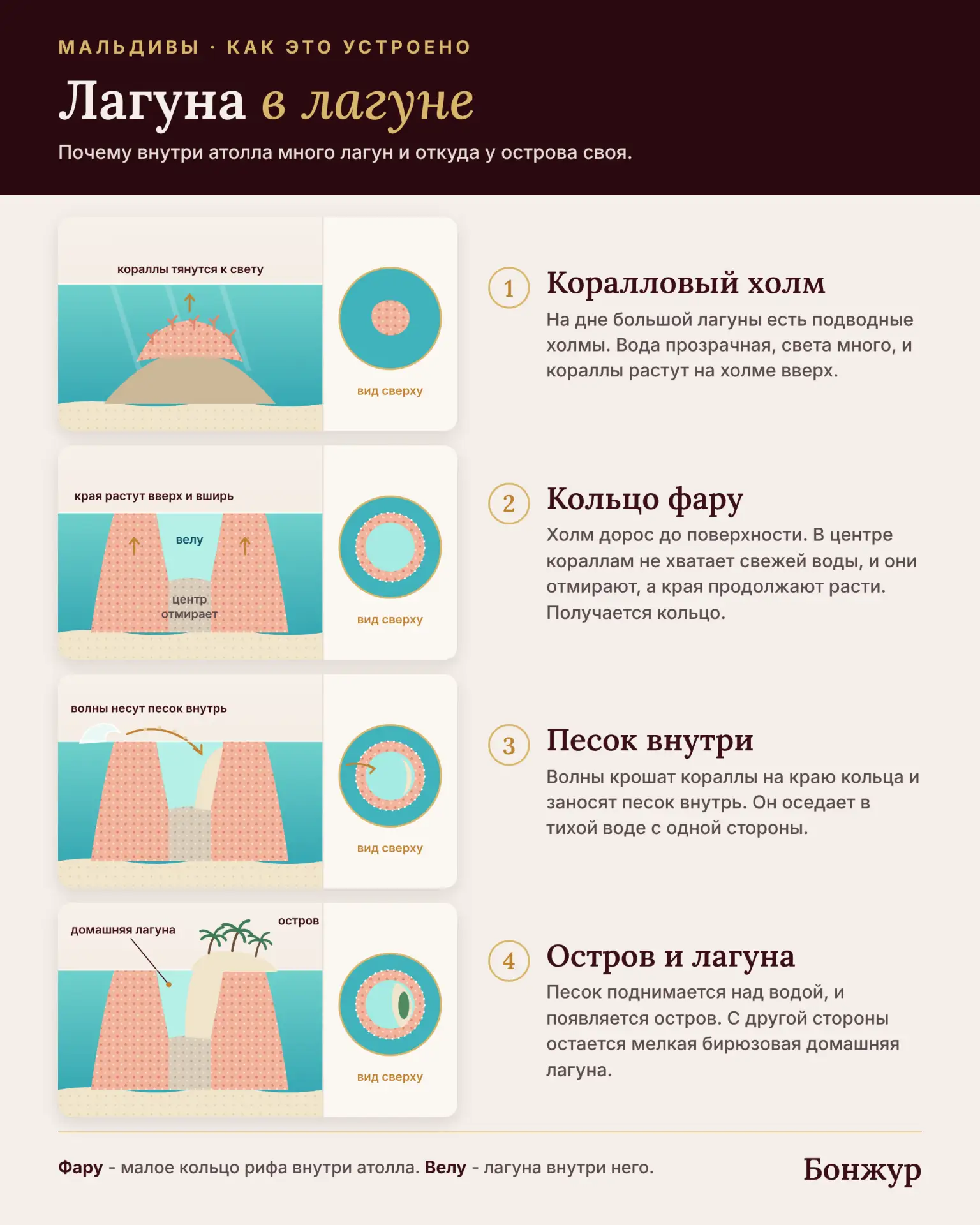Прежде чем рассказать про отели с самыми красивыми лагунами на Мальдивском архипелаге, ...