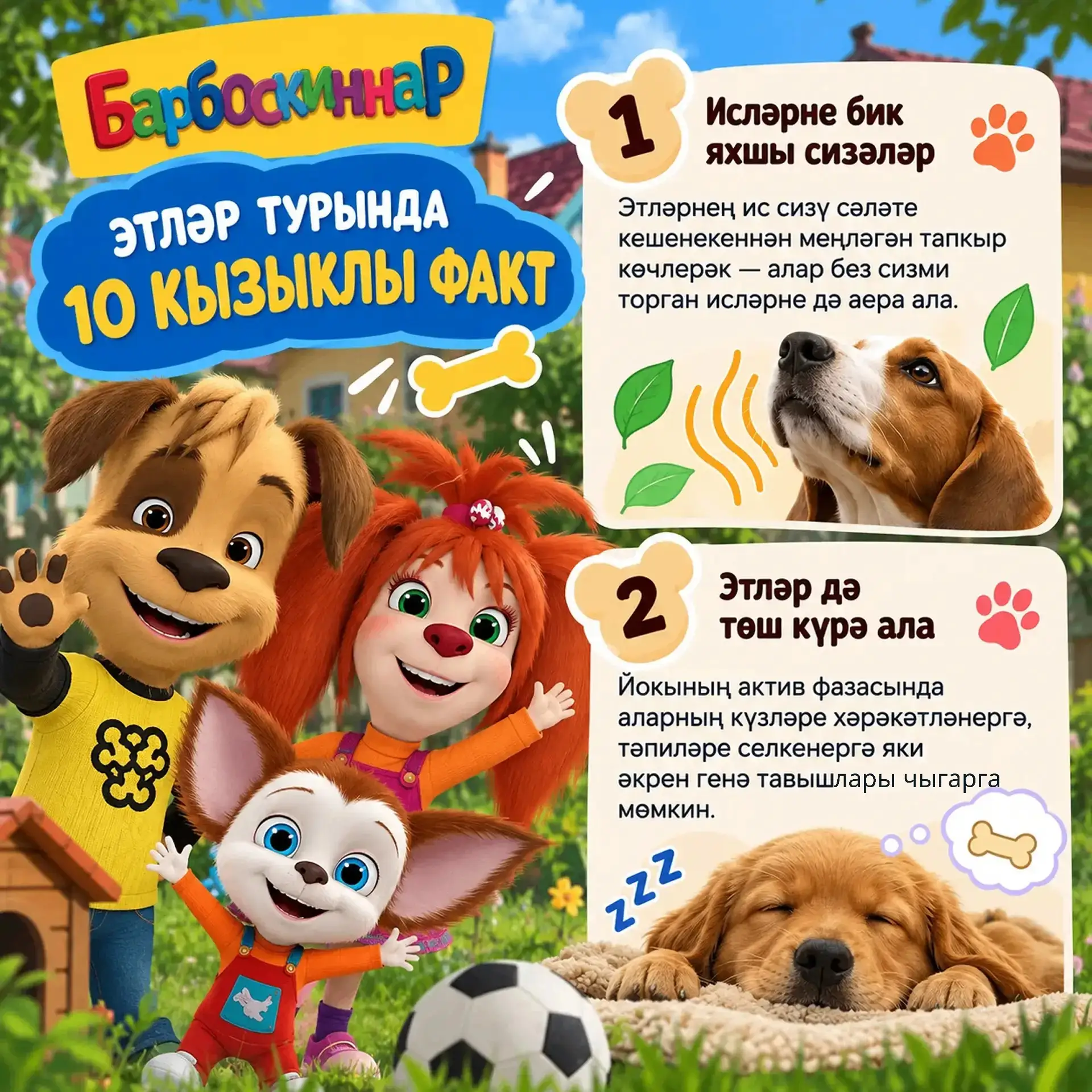 «Барбоскиннар»ны карыйбыз һәм чын этләр турында күбрәк беләбез! 🐶💛