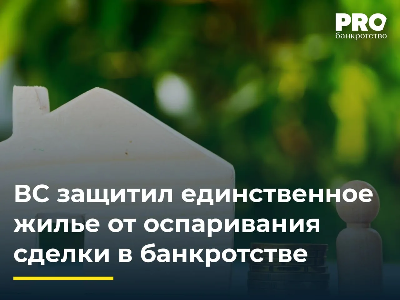 ВС защитил единственное жилье от оспаривания сделки в банкротстве