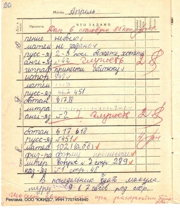 В одном родительском чате мама написала: