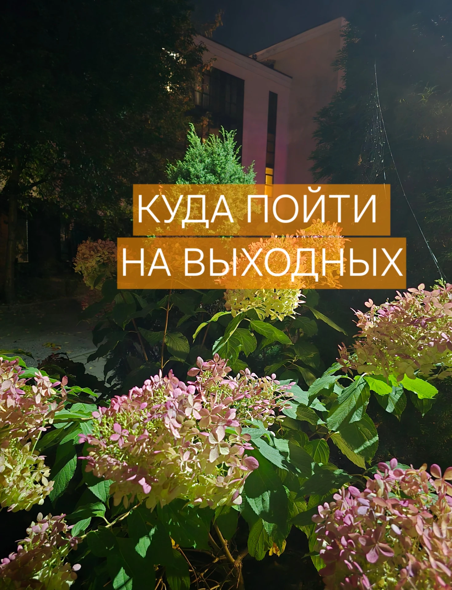 💥Спектакли, мастер-классы, экскурсии и страстные танцы – мы собрали для вас подборку и...
