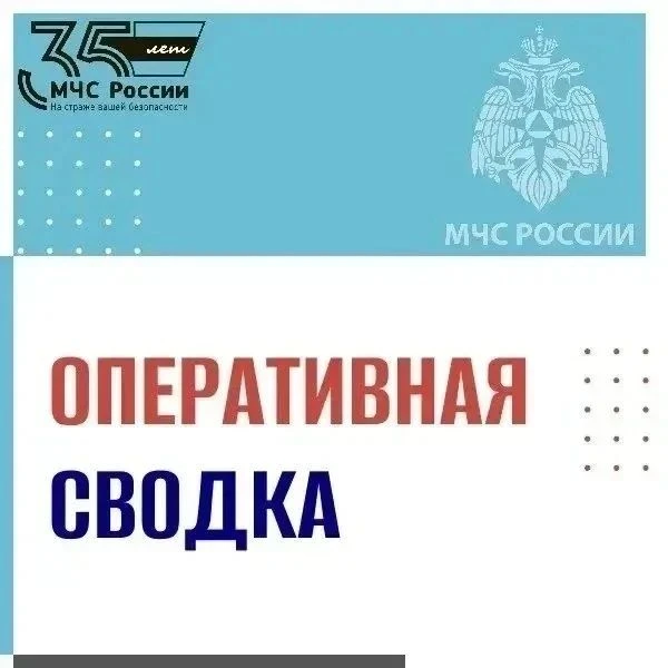 В Магаданской области за прошедшие сутки:
