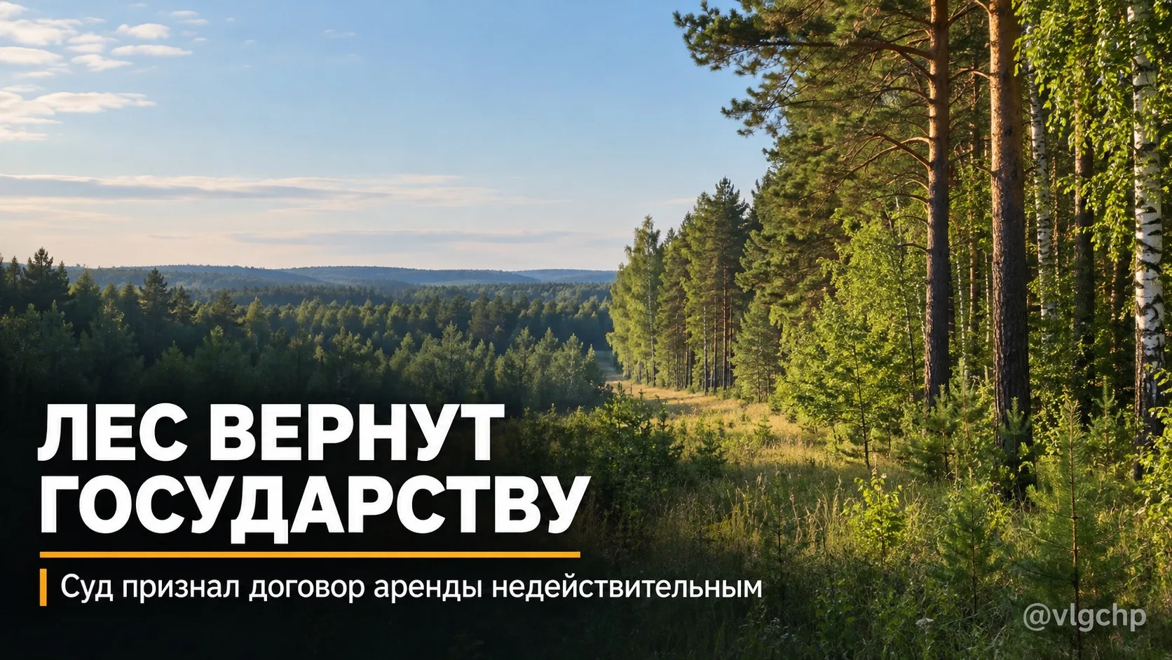 28 гектаров леса вернут государству 🌲