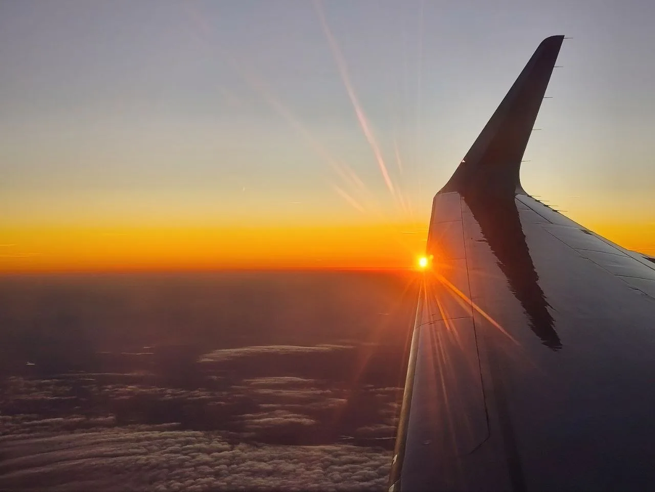 🌅Луч солнца золотого...