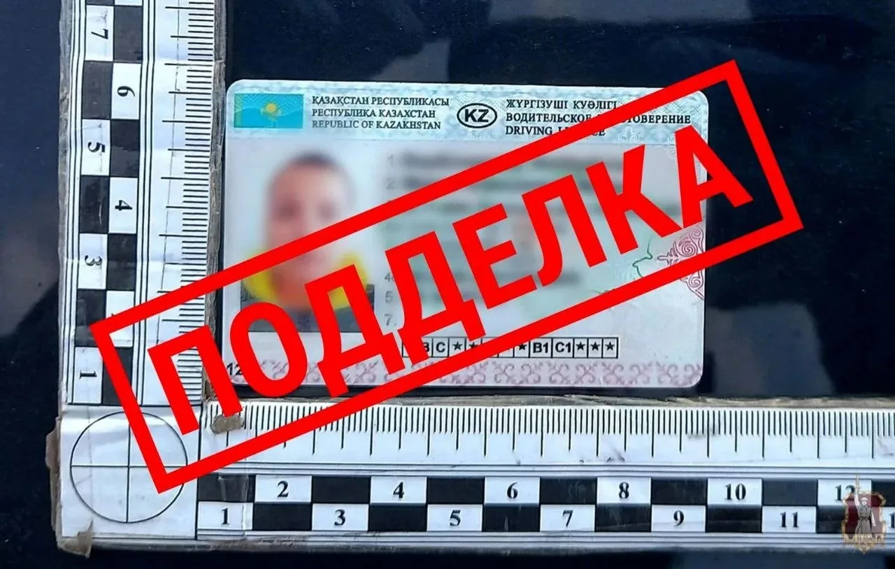 ❗️Камышинской автомобилистке грозит до года лишения свободы за поддельные права