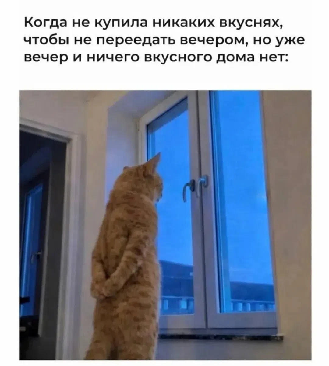 А К&Б всё ещё работает))