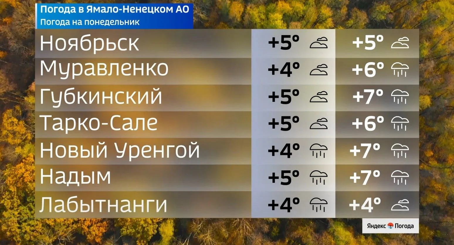 ☂️ Плюсовая температура пока не хочет уходить с Ямала
