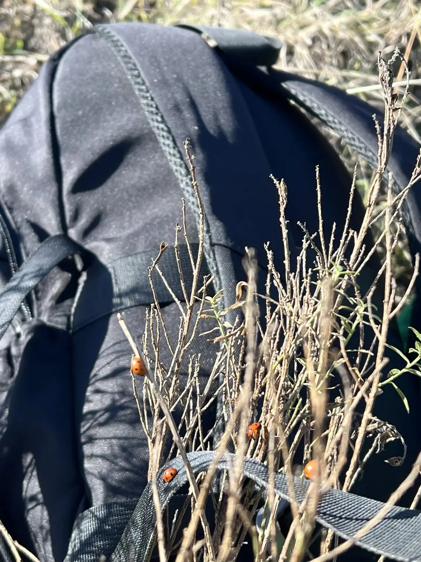 ☀️ Прекрасный солнечный денек подарил нам незабываемые эмоции! 🌳🎒