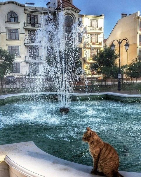 ☕ 🍁 Доброе утро, красавица Одесса⚓⛵