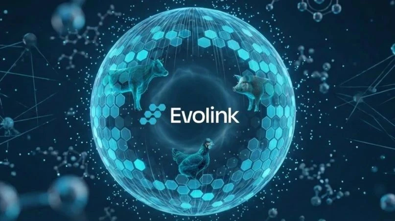 Несколько цифр,