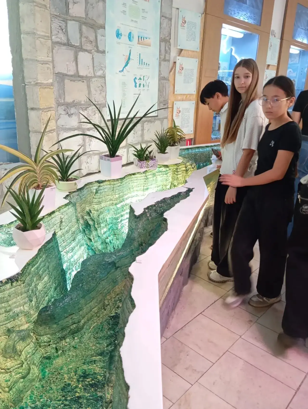 🌵 «Кактусмания» возвращается в Иркутск