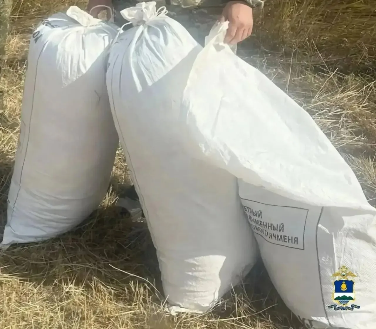 Мужчина приехал в Бурятию из соседнего региона специально, чтобы собрать «травку»