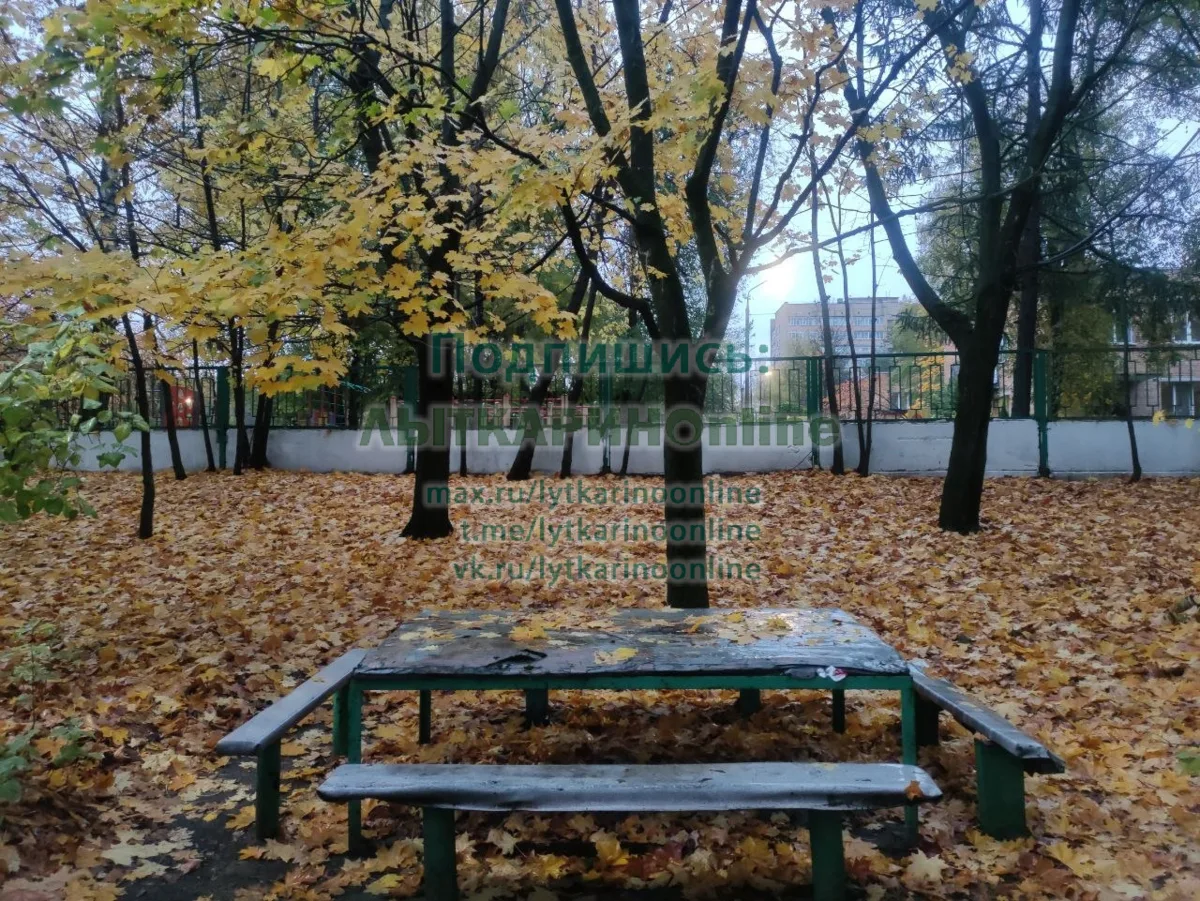 Дождливая, но красивая осень в Лыткарино 🥰
