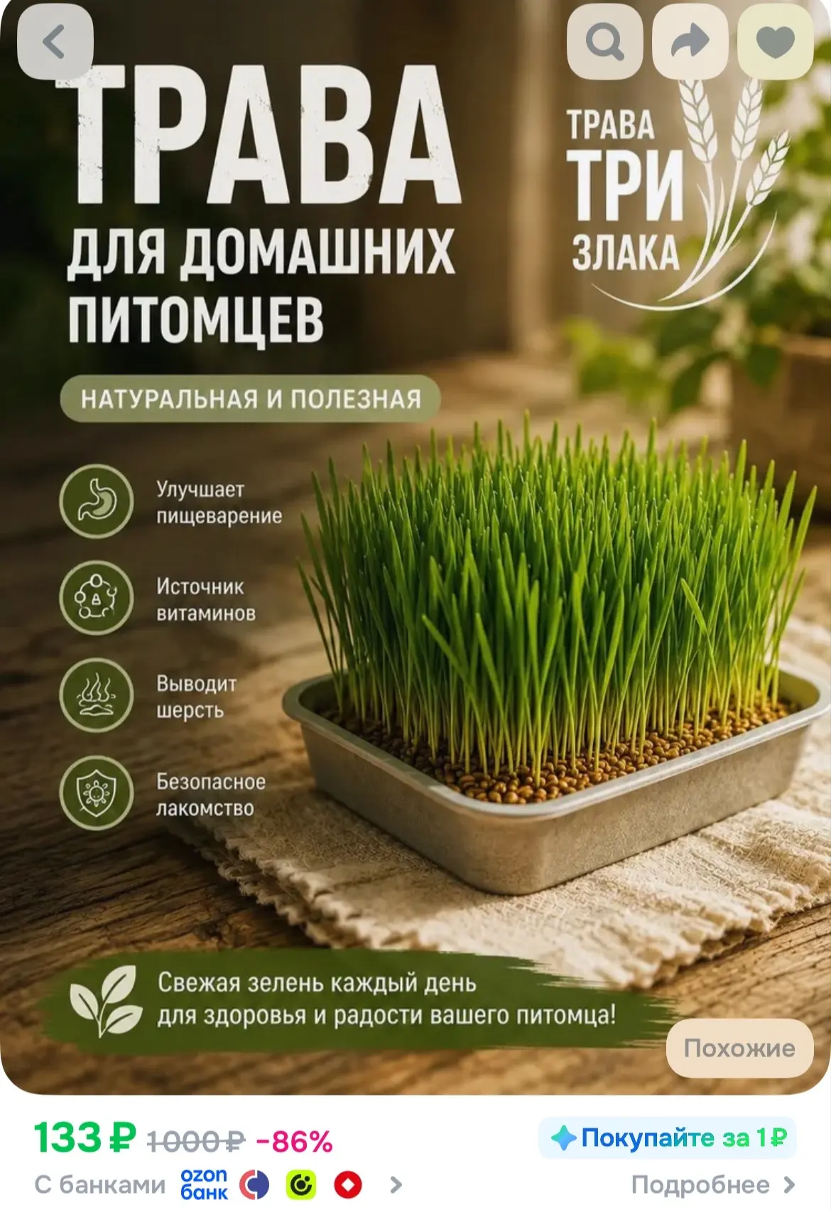 https://ozon.ru/t/NsrFJGC