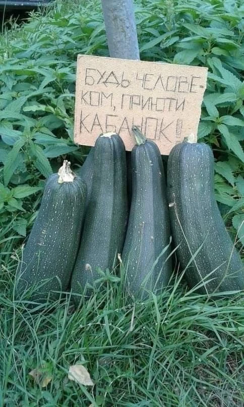Овощи, мёд и варенье из шишек можно будет купить на ярмарке в Чите