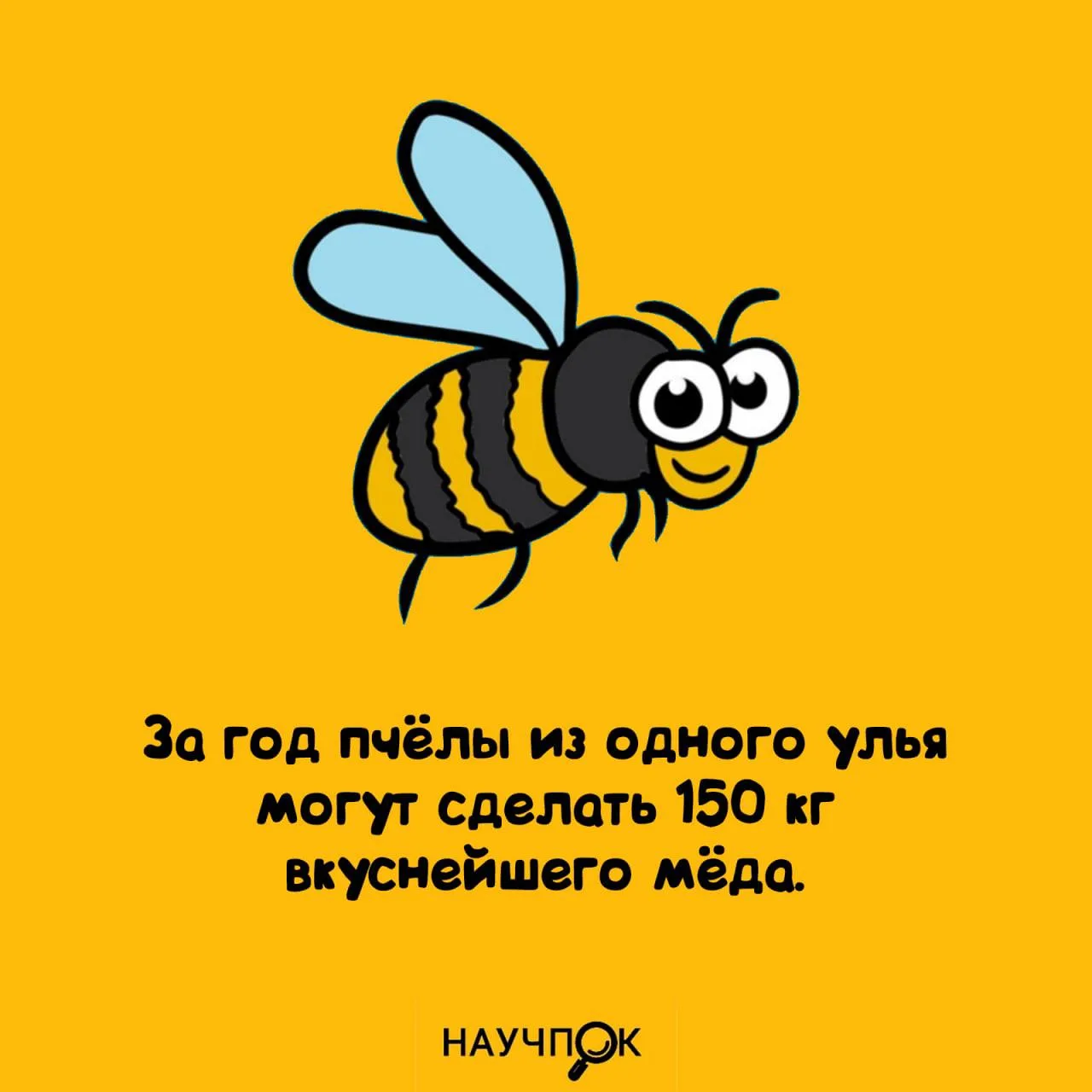Один улей — 150 кг сладкого трудоголизма 🍯
