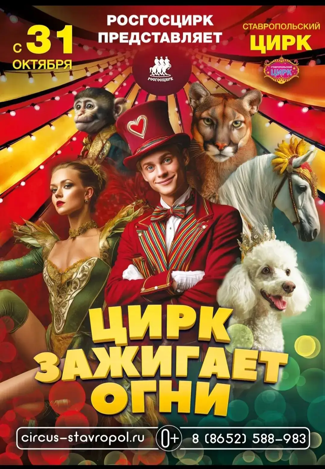 ✨ «Цирк зажигает огни» — эксклюзивное шоу в Ставропольском цирке! ✨