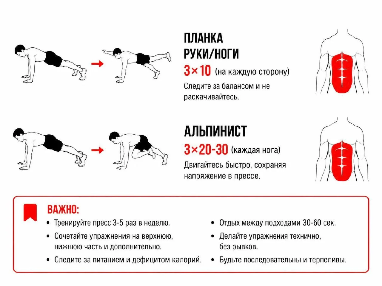 Качаем рельефный пресс за 30 дней — в сети собрали комплекс упражнений на все мышцы жив...