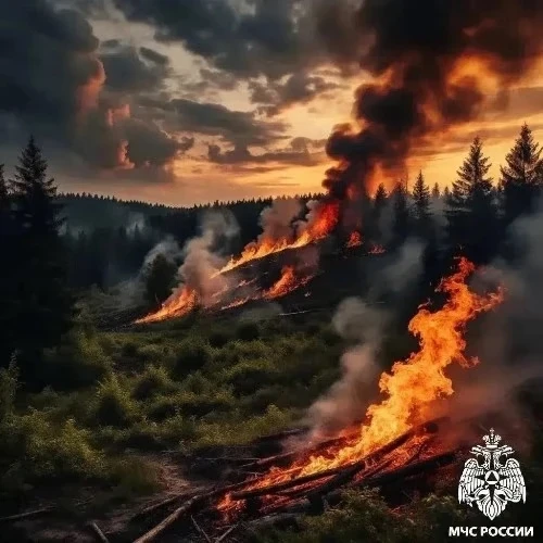 ☀️ МЧС: в кубанских районах высокая пожароопасность
