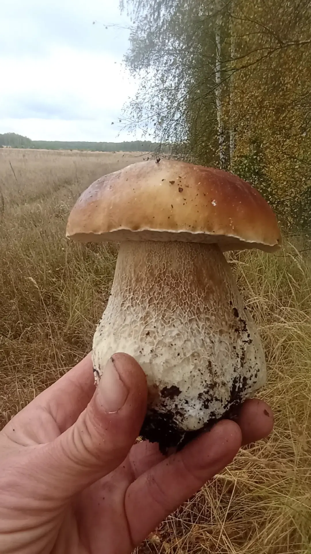 Сегодня... Спасский район....