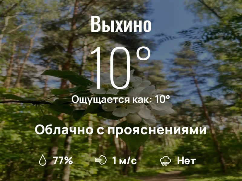 Что с погодой в Выхино?