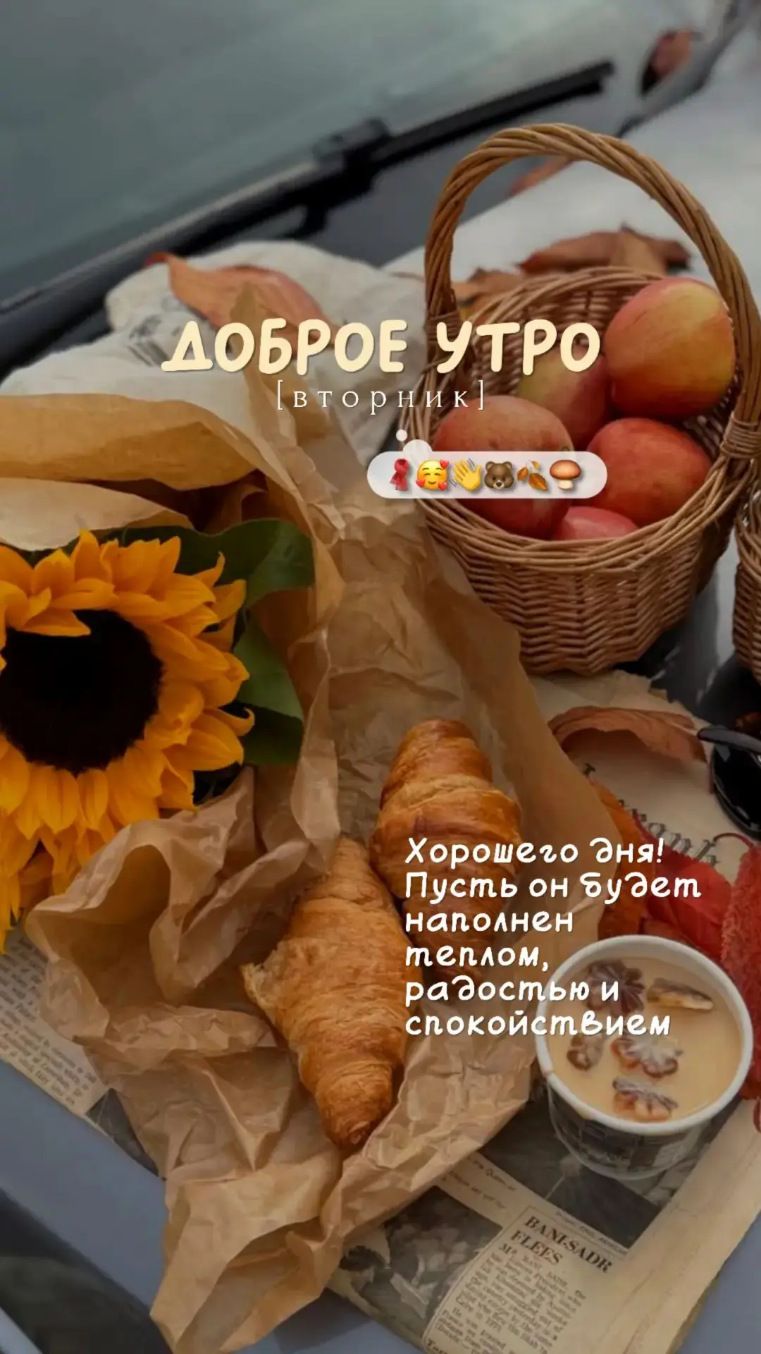 #доброе утро