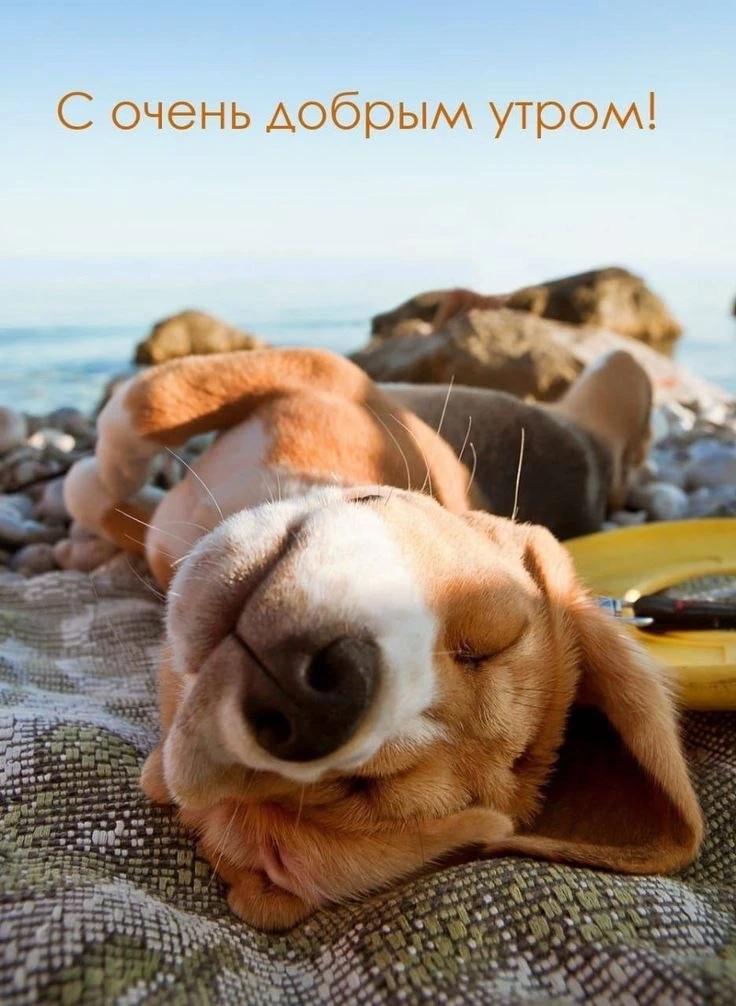 Хорошего дня ☺️🥰