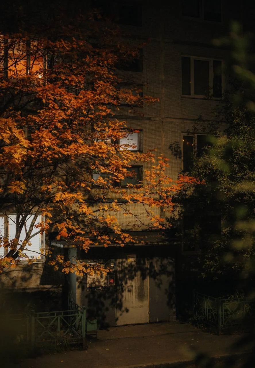 Золотая осень 🍂
