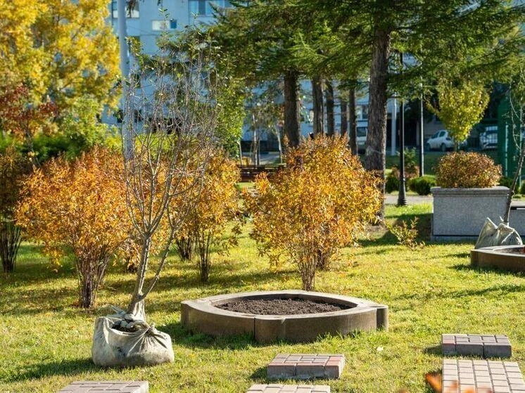 В Южно-Сахалинске высадят 5800 деревьев и кустарников