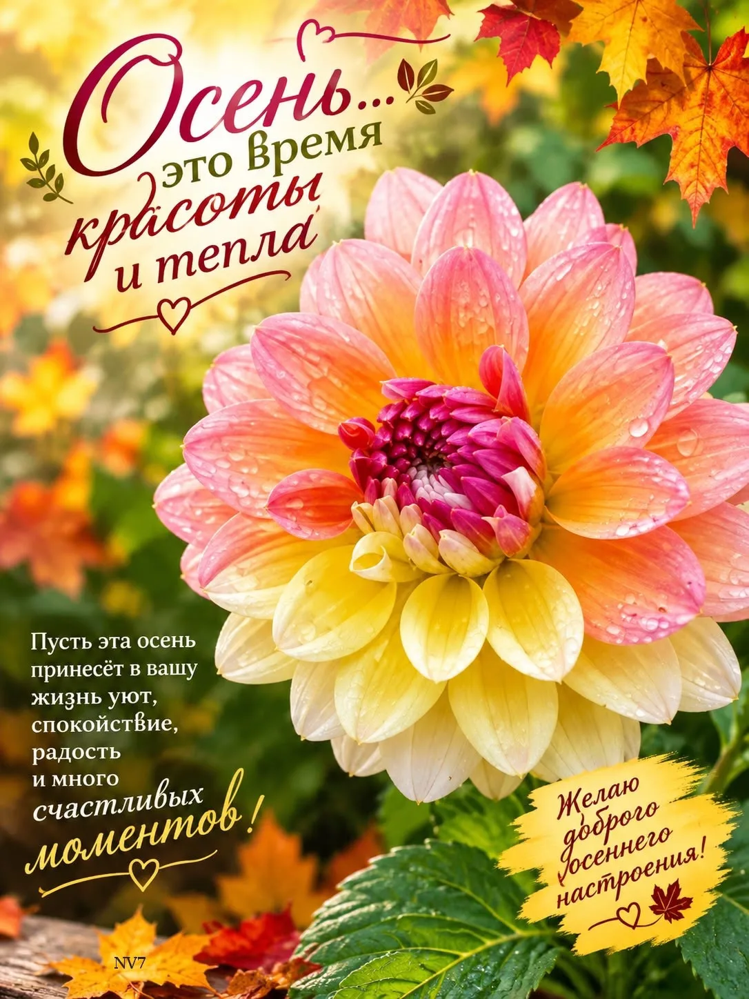 Открытки с верой