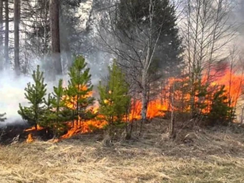 В соседних с Волгодонском районах объявили пожарную опасность пятого класса.